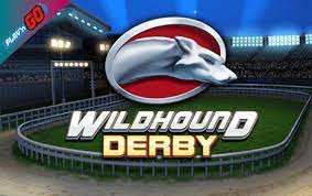 Wildhound Derby